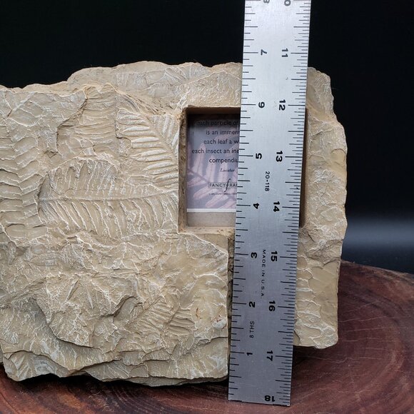 Vintage Fancy Frames Earth Echoes Fossil Leaf Photo Frame – Stone Look Nature De - Picture 6 of 8